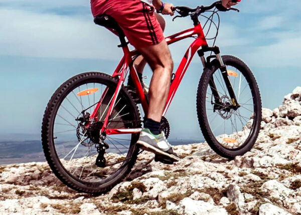 Bicicleta de montaña Carbon LT2